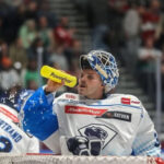 Die Augsburger Panther verpflichten neuen Keeper