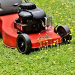No Mow May: Warum wir im Mai den Rasenmäher stehen lassen sollten