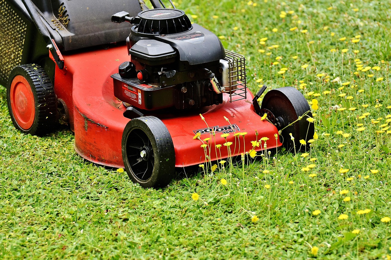 No Mow May: Warum wir im Mai den Rasenmäher stehen lassen sollten