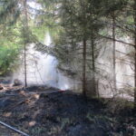 2.500 Quadratmeter Waldboden in Flammen | Augsburger Feuerwehr muss nach Siebenbrunn ausrücken