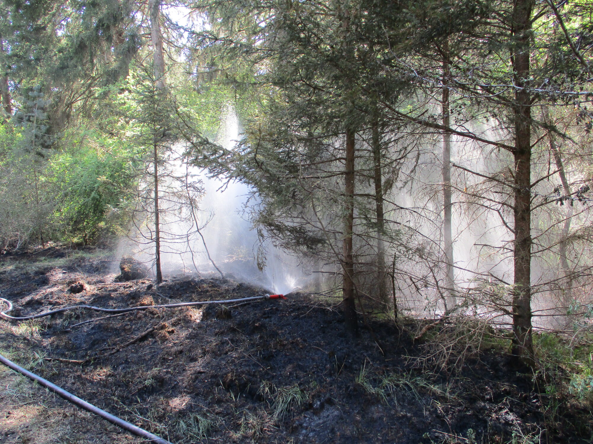 2.500 Quadratmeter Waldboden in Flammen | Augsburger Feuerwehr muss nach Siebenbrunn ausrücken