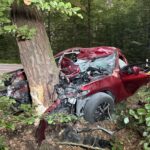 Schrobenhausen: 29-Jähriger prallt frontal gegen Baum und stirbt noch an der Unfallstelle