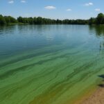 Gundelfingen | Blaualgen im Gartnersee – Gesundheitsamt warnt bei schlechter Sichttiefe vor dem Baden