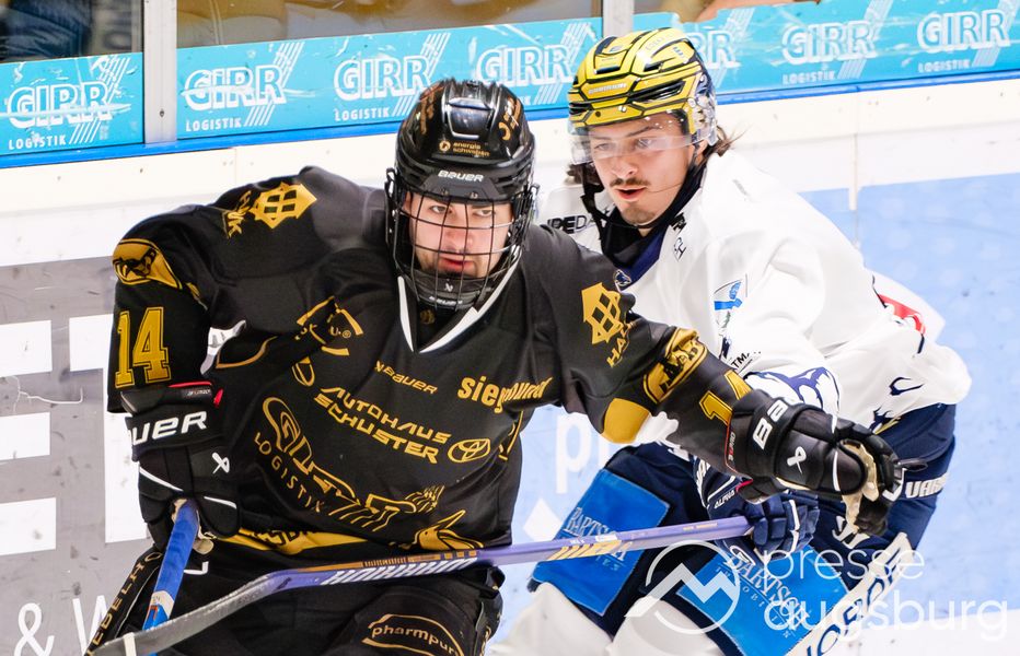 Ehc Königsbrunn Verlängert Mit Leistungsträgern – Defensive Bleibt Das Rückgrat Der Pinguine