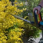 Schönheitskur für die grüne Oase | Mit der Heckenschere Gardena ComfortCut 600/55 Hecken und Büsche sauber schneiden