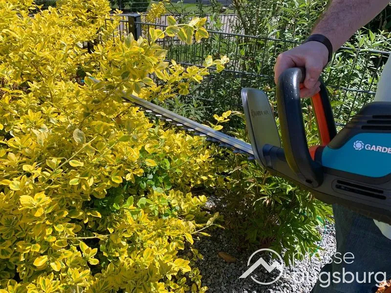 Schönheitskur für die grüne Oase | Mit der Heckenschere Gardena ComfortCut 600/55 Hecken und Büsche sauber schneiden