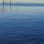 Sicherer Badespaß in Bayern: Badeseen mit ausgezeichneter Wasserqualität