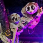 Zoo Augsburg aktuell | Ein tierisch spannender Rückblick