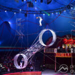 Bildergalerie | Zirkus Barelli zu Gast in Augsburg