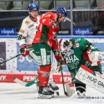 Neu formierte Augsburger Panther präsentieren sich erstmals ihren Fans