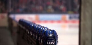 Augsburger Panther verlieren torreiches Heimspiel gegen Köln