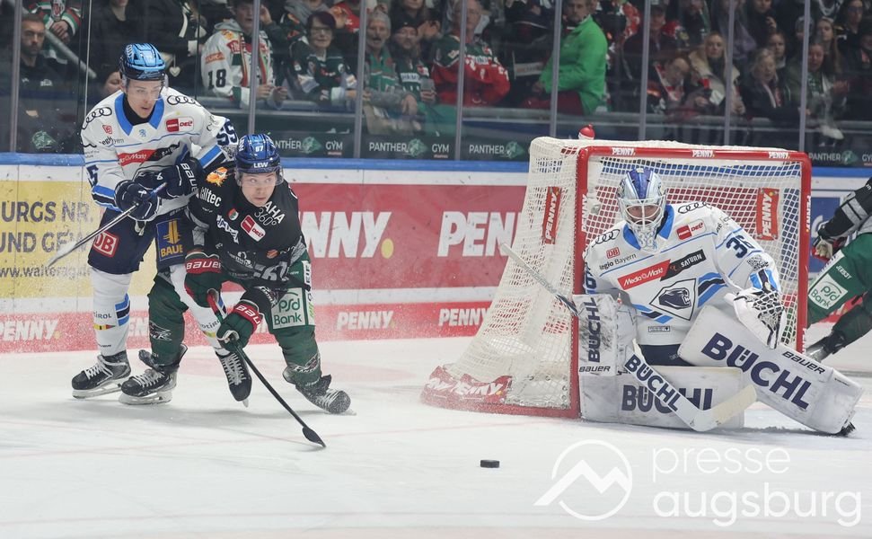 Auch Ingolstadt kann den AEV nicht stoppen - Augsburger Panther mit sechstem Sieg in Serie 26 Auch Ingolstadt Kann Den Aev Nicht Stoppen - Augsburger Panther Mit Sechstem Sieg In Serie