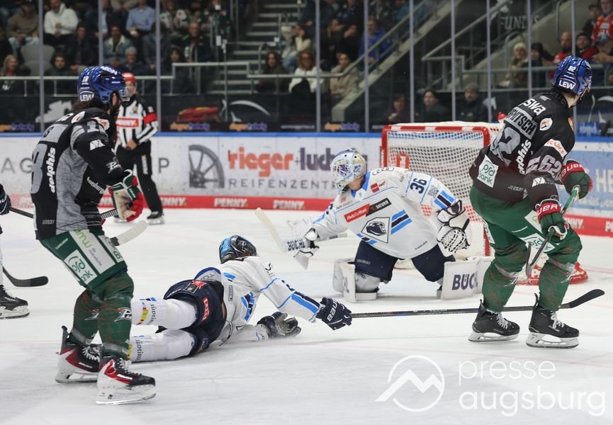 Auch Ingolstadt kann den AEV nicht stoppen - Augsburger Panther mit sechstem Sieg in Serie 35 Auch Ingolstadt Kann Den Aev Nicht Stoppen - Augsburger Panther Mit Sechstem Sieg In Serie