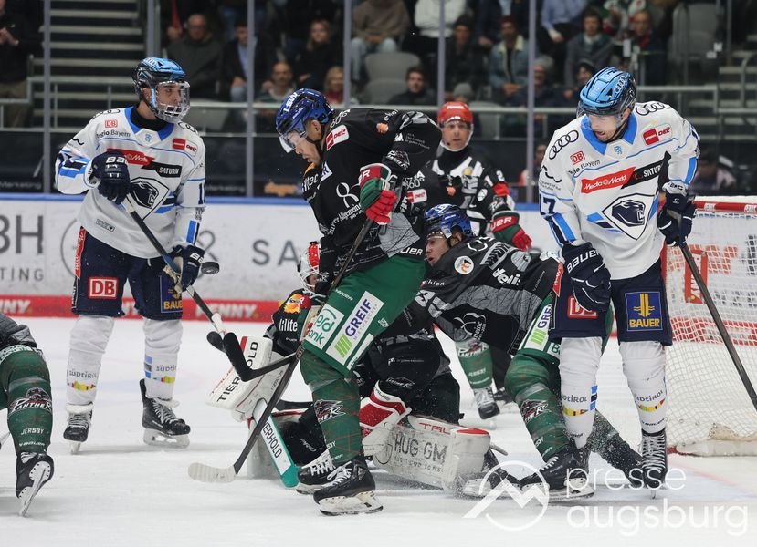 Auch Ingolstadt kann den AEV nicht stoppen - Augsburger Panther mit sechstem Sieg in Serie 40 Auch Ingolstadt Kann Den Aev Nicht Stoppen - Augsburger Panther Mit Sechstem Sieg In Serie