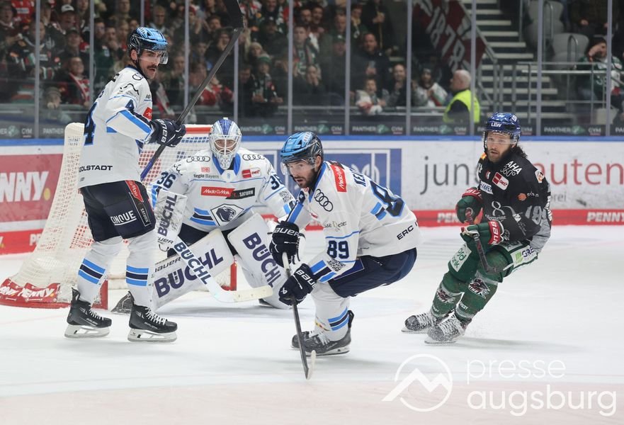 Auch Ingolstadt kann den AEV nicht stoppen - Augsburger Panther mit sechstem Sieg in Serie 42 Auch Ingolstadt Kann Den Aev Nicht Stoppen - Augsburger Panther Mit Sechstem Sieg In Serie
