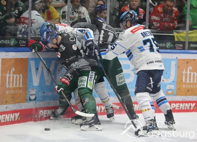 Auch Ingolstadt kann den AEV nicht stoppen - Augsburger Panther mit sechstem Sieg in Serie 43 Auch Ingolstadt Kann Den Aev Nicht Stoppen - Augsburger Panther Mit Sechstem Sieg In Serie