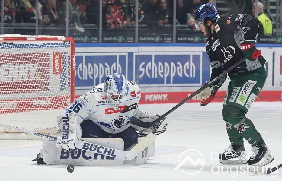 Auch Ingolstadt kann den AEV nicht stoppen - Augsburger Panther mit sechstem Sieg in Serie 27 Auch Ingolstadt Kann Den Aev Nicht Stoppen - Augsburger Panther Mit Sechstem Sieg In Serie