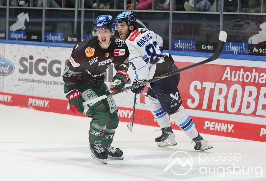 Auch Ingolstadt kann den AEV nicht stoppen - Augsburger Panther mit sechstem Sieg in Serie 49 Auch Ingolstadt Kann Den Aev Nicht Stoppen - Augsburger Panther Mit Sechstem Sieg In Serie