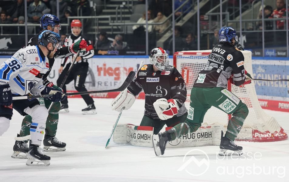 Auch Ingolstadt kann den AEV nicht stoppen - Augsburger Panther mit sechstem Sieg in Serie 33 Auch Ingolstadt Kann Den Aev Nicht Stoppen - Augsburger Panther Mit Sechstem Sieg In Serie