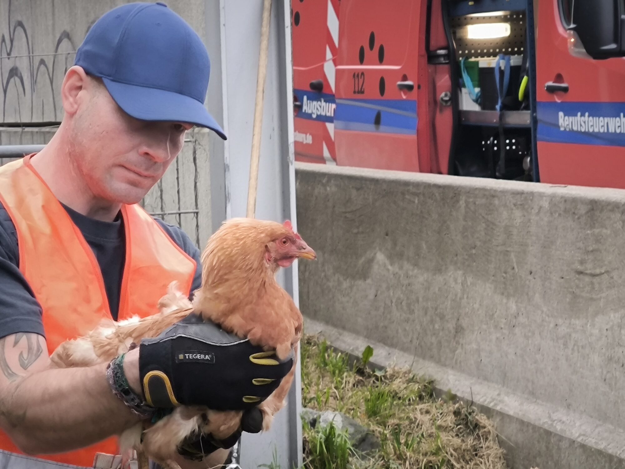 Huhn auf der A8 bei Augsburg sorgt für tierischen Feuerwehreinsatz