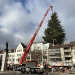 Neu-Ulm sucht Weihnachtsbäume für Innenstadt und Stadtteile