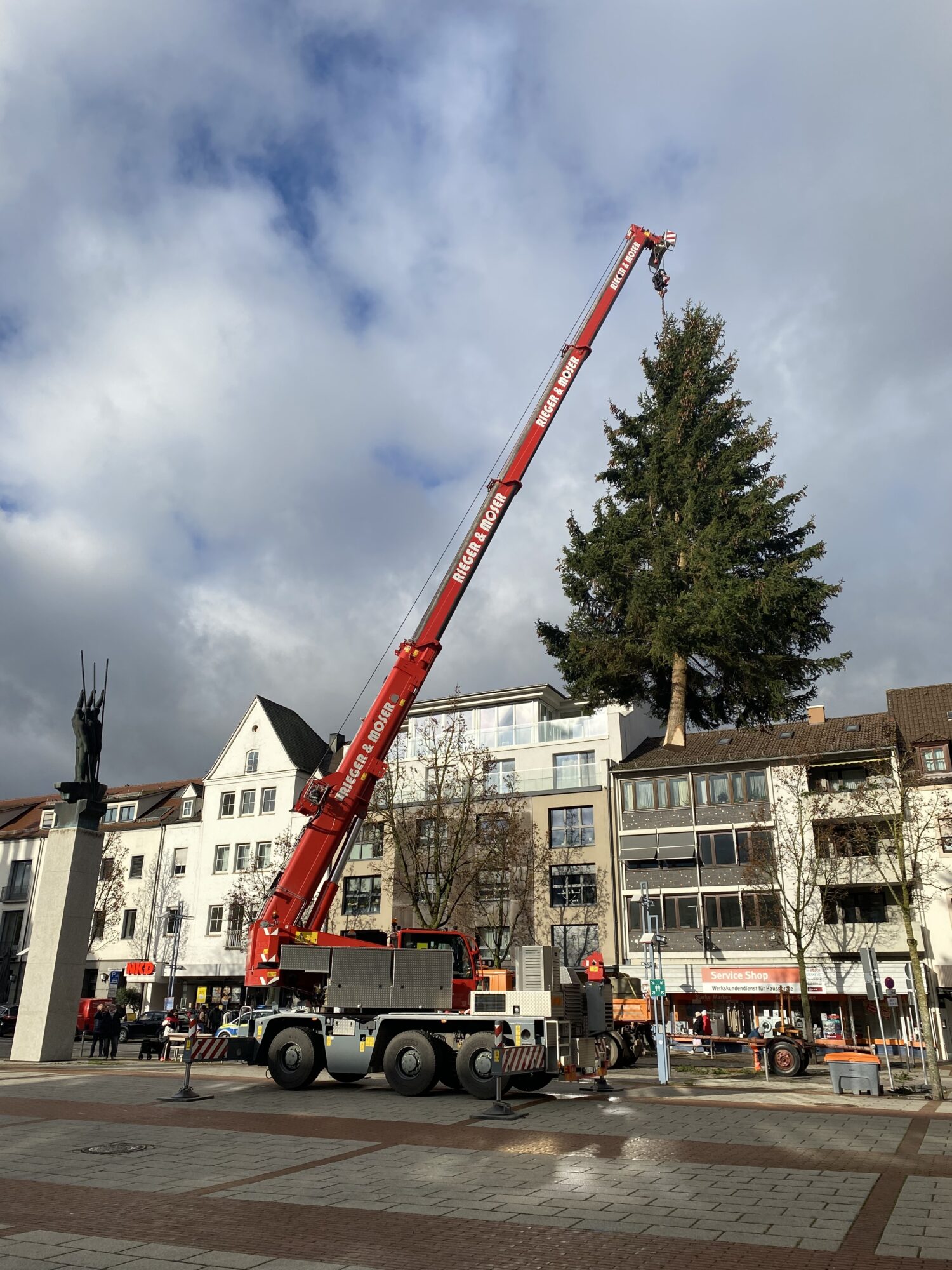 Neu-Ulm sucht Weihnachtsbäume für Innenstadt und Stadtteile