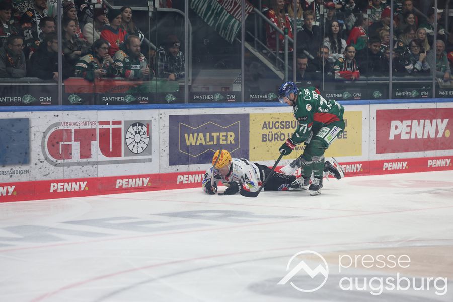 Deutliche Niederlage | Siegesserie der Augsburger Panther reißt gegen Bremerhaven 43 Deutliche Niederlage | Siegesserie Der Augsburger Panther Reißt Gegen Bremerhaven