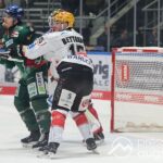 Deutliche Niederlage | Siegesserie der Augsburger Panther reißt gegen Bremerhaven