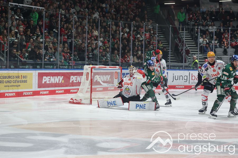 Deutliche Niederlage | Siegesserie der Augsburger Panther reißt gegen Bremerhaven 65 Deutliche Niederlage | Siegesserie Der Augsburger Panther Reißt Gegen Bremerhaven