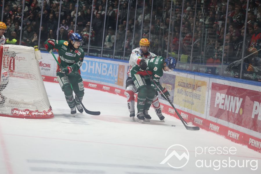 Deutliche Niederlage | Siegesserie der Augsburger Panther reißt gegen Bremerhaven 68 Deutliche Niederlage | Siegesserie Der Augsburger Panther Reißt Gegen Bremerhaven