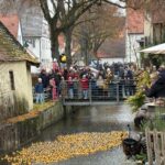 Nördlingen | Gelbes Spektakel auf der Eger – Hunderte Enten schwimmen für den guten Zweck