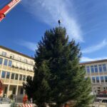 Start in die Adventszeit in Neu-Ulm – Prächtiger Rathausplatz-Baum aufgestellt