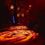 Funkelnder Winterzauber im Zoo Augsburg: Der Christmas Garden Augsburg: Eine magische Reise in leuchtende Welten!