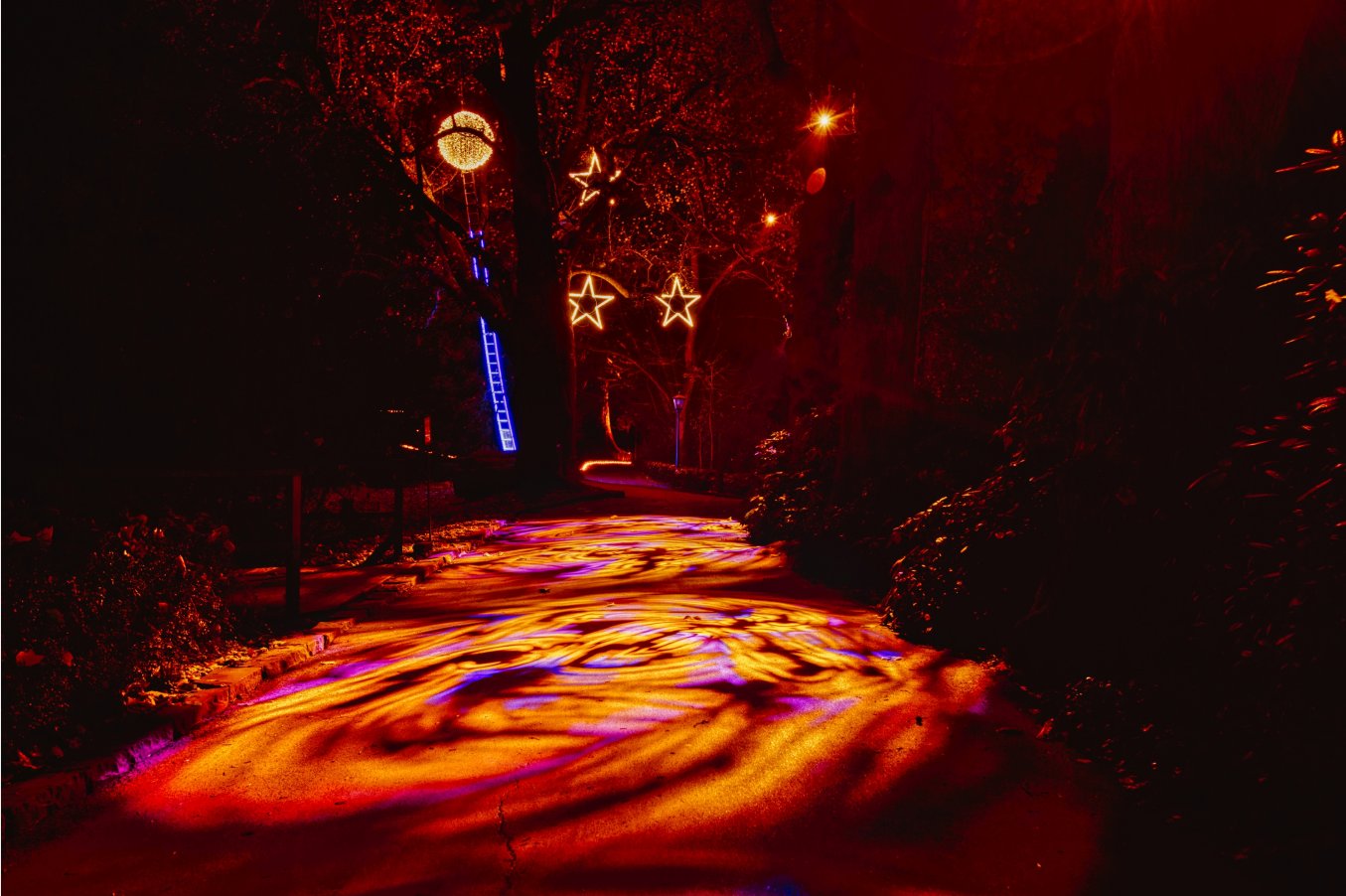 Funkelnder Winterzauber im Zoo Augsburg: Der Christmas Garden Augsburg: Eine magische Reise in leuchtende Welten!