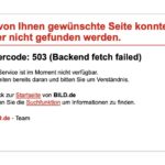 Störung bei BILD: Zugriff auf Website und App zeitweise eingeschränkt