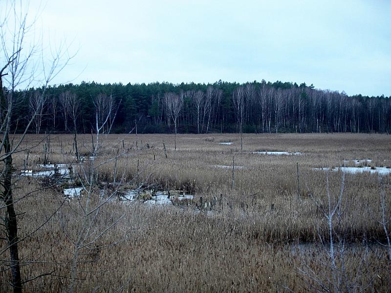 Europaweite Moor-Emission Doppelt So Hoch Wie Bisher Geschätzt