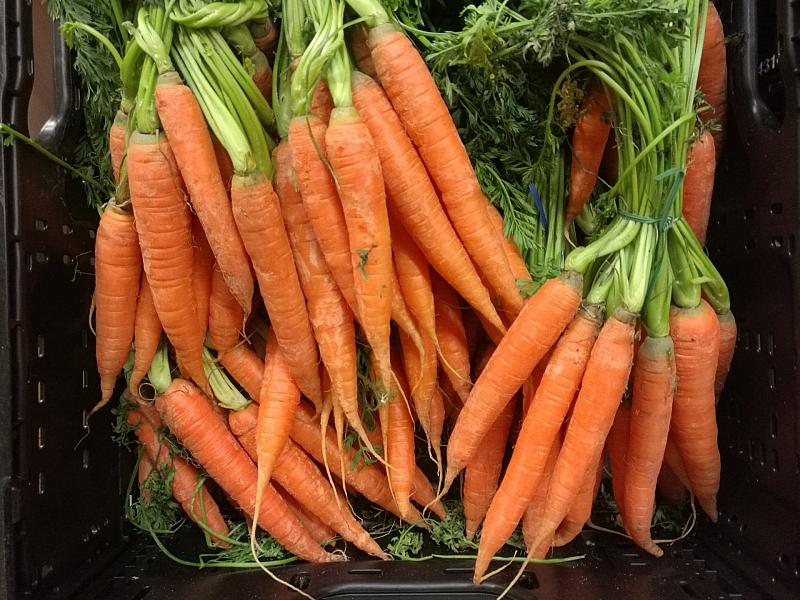 Gemüseernte steigt 2025 auf neuen Höchststand