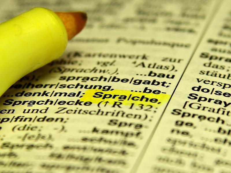 Mehrheit der Bevölkerung spricht zu Hause ausschließlich Deutsch