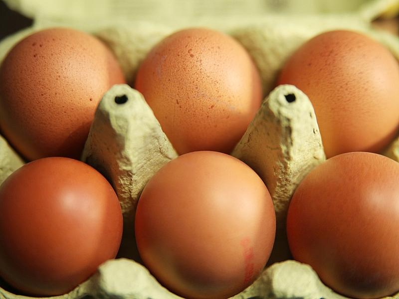 Eierproduktion 2025 leicht gestiegen