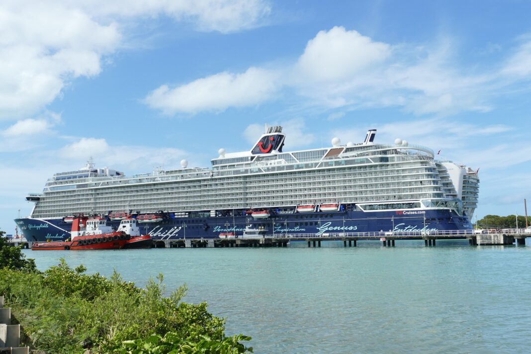 falco-caribbean-4898266_1920