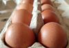 Geflügelwirtschaft sieht knappes Eier-Angebot zu Ostern
