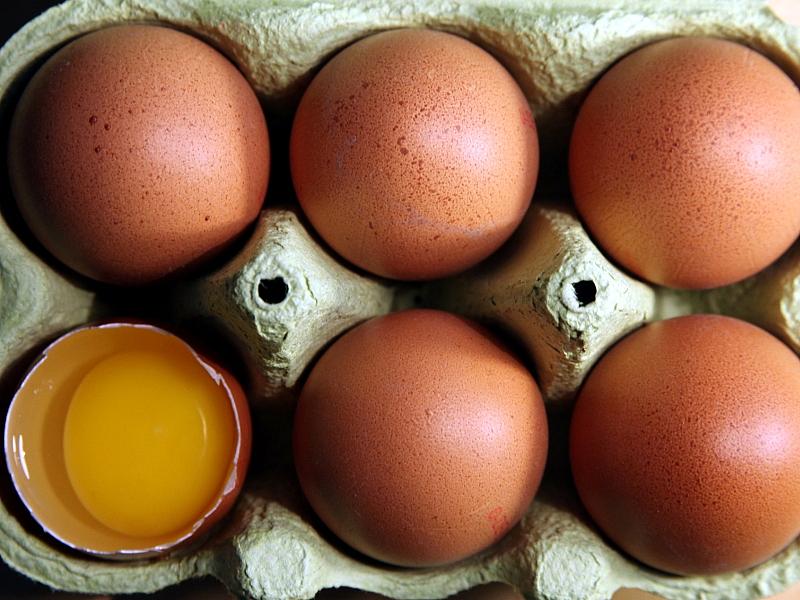 Niederlande bleiben Hauptlieferant für Eierimporte nach Deutschland