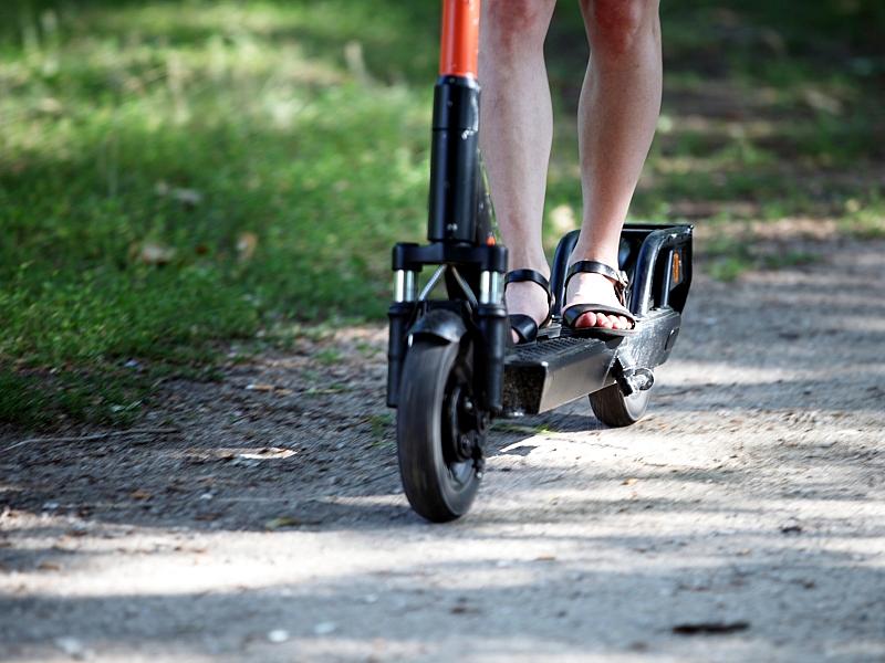 Privathaushalte setzen immer häufiger auf E-Scooter und E-Bikes