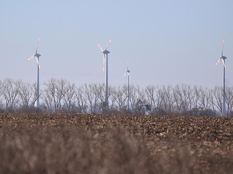 Unternehmen und Grüne starten Appell gegen Energiepolitik