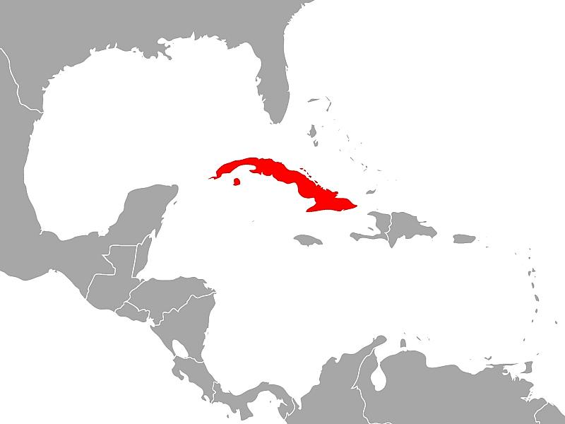 USA lassen russischen Öltanker nach Kuba