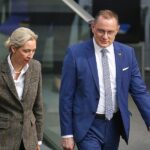AfD laut Insa wieder stärkste Kraft