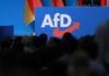 AfD treibt Aufbau einer europäischen Stiftung voran