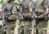 Bundeswehrverbandes hält neues Fähigkeitsprofil für unzureichend