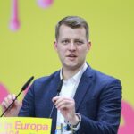 FDP-Vorsitzkandidat Höne will Kubicki als Vize