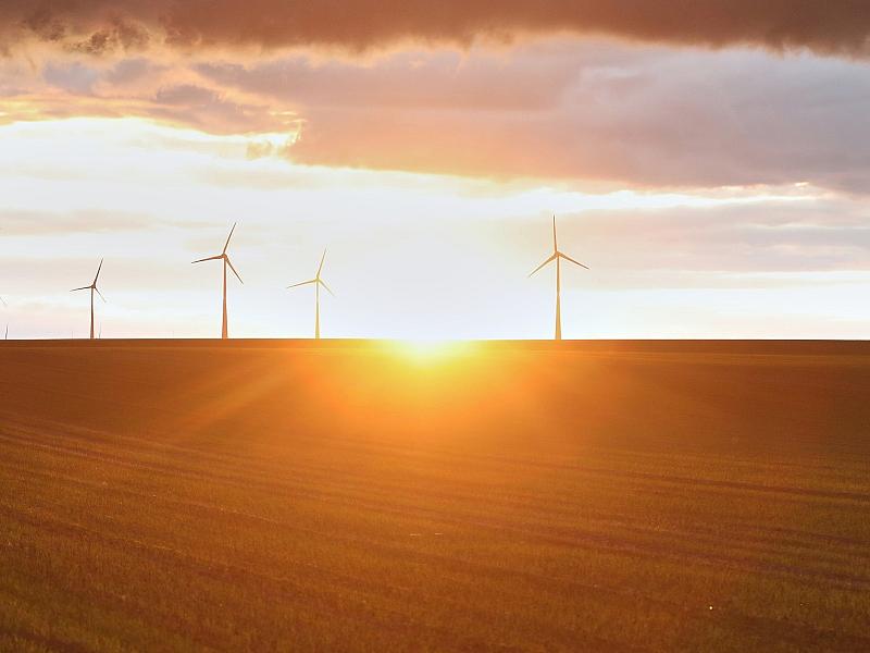 Forsa: Zwei Drittel befürworten Klimaneutralität bis 2045